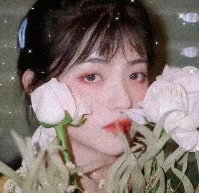 我的校花妹妹3